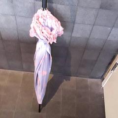 Guarda-chuva Grijs met rose stippen, como reportado por EBS Tramplein utilizando o iLost