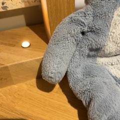 Peluche, ha sido reportado por Designer Outlet Roermond con iLost