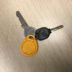 Sleutels, gemeldet von Gemeente Arnhem über iLost