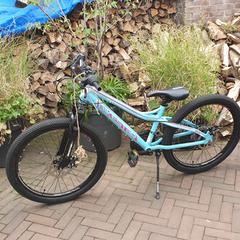 Blauwe fiets, som rapporterats till iLost