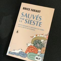 Llibre, segons ha informat MEININGER Hotel Bordeaux Gare Saint-Jean mitjançant iLost