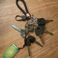 Sleutelbos met groene tag, jak bylo nahlášeno na iLost