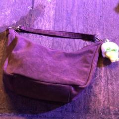 Taška Bruin, jak nahlášeno De Heeren van Aemstel pomocí iLost