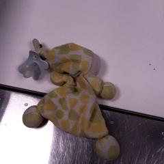 Smoczek speendo3k, zgłoszono przez Diergaarde Blijdorp przy użyciu iLost