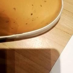 Regnstövel Geel, rapporterat av Beekse Bergen Resorts en Hotel med iLost