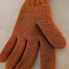 Handschoen, segundo informou Gemeente Zutphen usando iLost