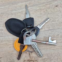 Portachiavi Met 5 sleutels en tag., come riportato da Gemeente Wageningen utilizzando iLost