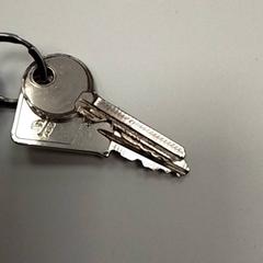 Key, as reported by ilévia using iLost