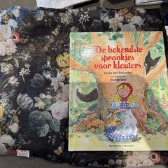 ‘De bekendste sprookjes voor kleuters’ boek, som rapporterats till iLost