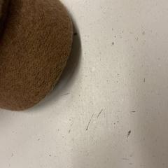 Kšiltovka, jak nahlášeno GVB pomocí iLost