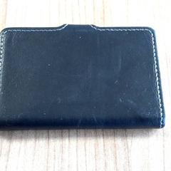 Titular de la passió, segons ha informat Connexxion Haarlem AML mitjançant iLost