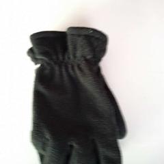 Guants, segons ha informat Twisto mitjançant iLost