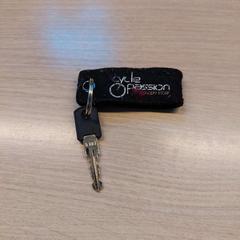 Chave, como reportado por Regio Limburg - Leuven utilizando o iLost