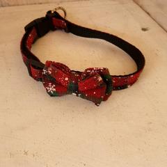 강아지목줄 Groen/rood, iLost를 사용하여 DierenPark Amersfoort에 보고됨