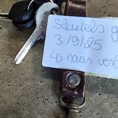 Giltzak, gisa salatu by Ziekenhuis Oost-Limburg iLost erabiliz