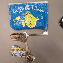 Klíč, jak nahlášeno IKEA Reims Thillois pomocí iLost