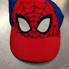 Kappe, gemeldet von IKEA Amsterdam über iLost