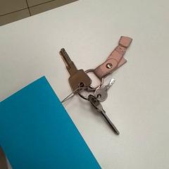 Keys, as reported by ilévia using iLost