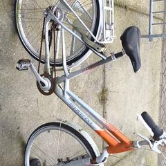 Damcykel Sparta, rapporterat av Stadswerk072 med iLost