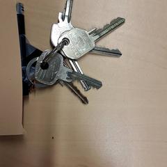 Schlüsselanhänger, gemeldet von RET über iLost