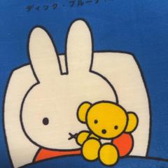 Toy ミッフィー, as reported by IKEA福岡新宮 using iLost