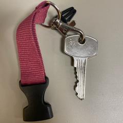 Sleutel, gemeldet von Pathé Schiedam über iLost