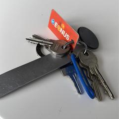 Sleutelbos, iLost에 보고됨