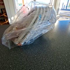 Borsa, come riportato da Connexxion Amstelveen utilizzando iLost