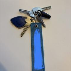 Sleutelbos, amint azt az iLostnak jelentették.