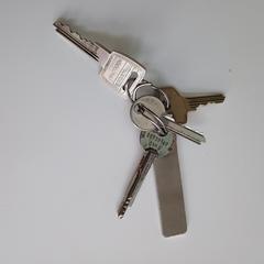 Sleutelbos, jak bylo nahlášeno na iLost