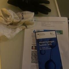 Guant SOCK AND PAPIERS, segons ha informat Room Mate Bruno mitjançant iLost