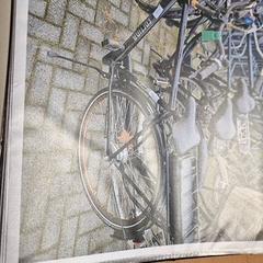 Bicicleta de homem, como reportado por Gemeente Roermond utilizando o iLost