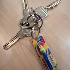 İLost kullanarak IKEA Paris Nord Roissy tarafından bildirildiği gibi Anahtarlar clef