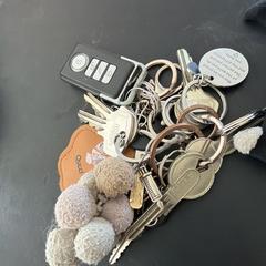 Sleutelbos, como reportado ao iLost