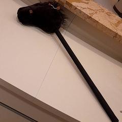 Stokpaard Bruin, zoals gemeld door Van der Valk Hotel Schiphol met iLost