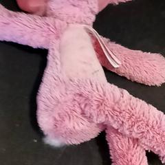 Peluche, come riportato da RRReis IJssel-Vecht utilizzando iLost