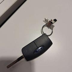 Clau del cotxe, segons ha informat Gemeente Meierijstad mitjançant iLost