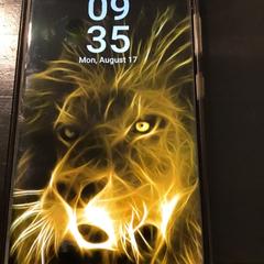 Cellulare, come riportato da U-OV Utrecht utilizzando iLost