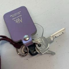 Key, as reported by GVB using iLost