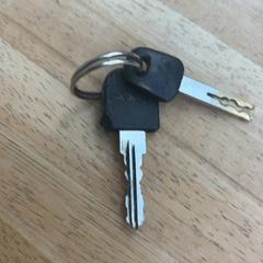 Sykkelnøkkel, som rapportert av Gemeente Wageningen ved bruk av iLost