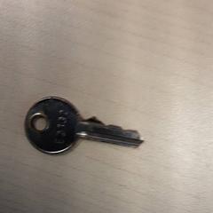 Sleutel، كما تم الإبلاغ عنه بواسطة LUMC عبر iLost