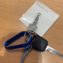 Klucze, zgłoszono przez Gemeente Gooise Meren przy użyciu iLost