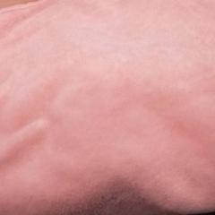 Manta de nadó Roze, segons ha informat Qbuzz Fryslân mitjançant iLost