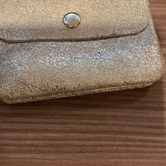 Brieftasche Goud Lerou 241125 JAMES, gemeldet von Ziggo Dome über iLost