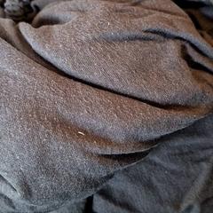 Hoeslakens Zwart, gemeldet von Attractie- & Vakantiepark Slagharen über iLost