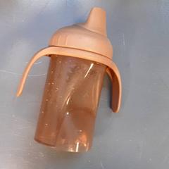 Bottle, as reported by Diergaarde Blijdorp using iLost