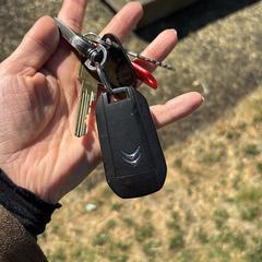 Sleutelbos, jak zgłoszono do iLost