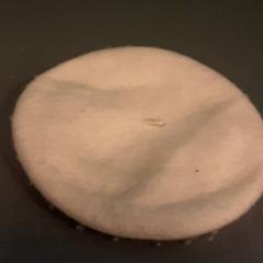 Keps, rapporterat av Diergaarde Blijdorp med iLost