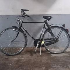 Rower męski L'avenir Zwart-Paarse letters, zgłoszono przez Fietsdepot Hasselt przy użyciu iLost