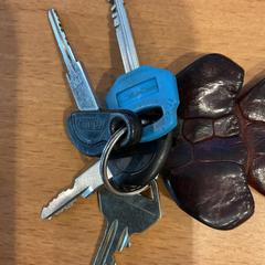 Kľúčenka, ako bolo nahlásené Gemeente Amsterdam pomocou iLost